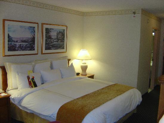Marriott Hotel 3*